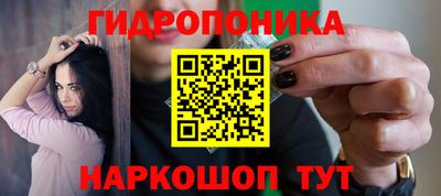СК Заволжье